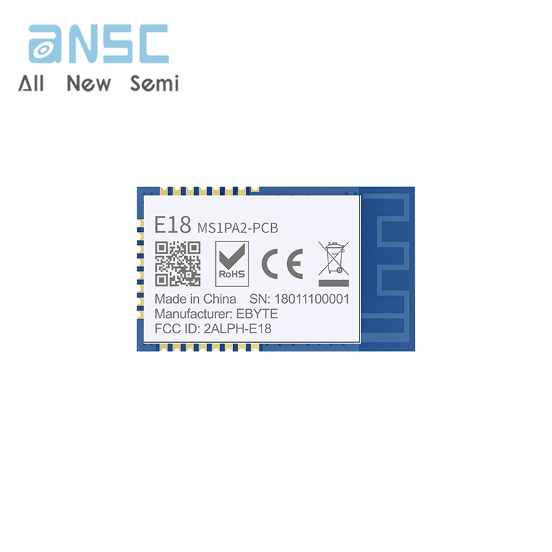 E18-MS1PA2-PCB