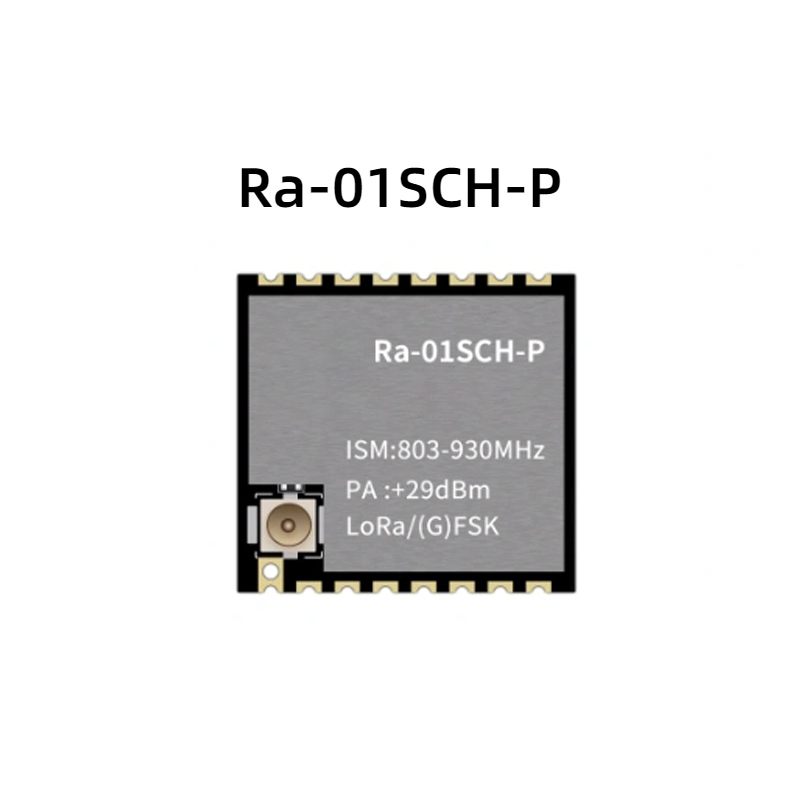 SKU-01-Ra-01SCH-P