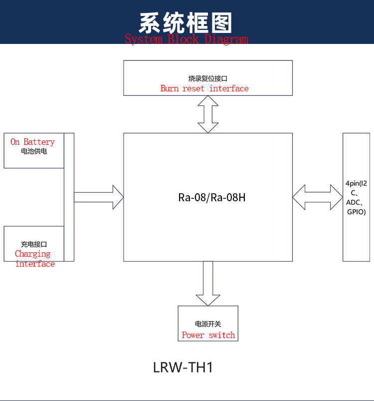 详情-05 详情-05