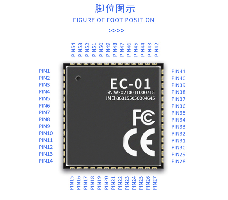 详情-13