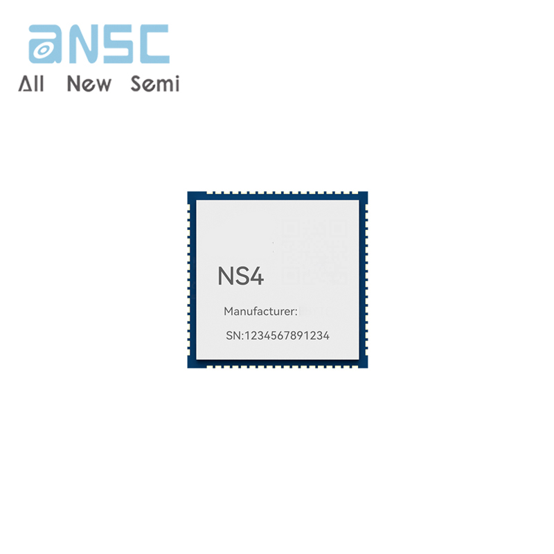NS4
