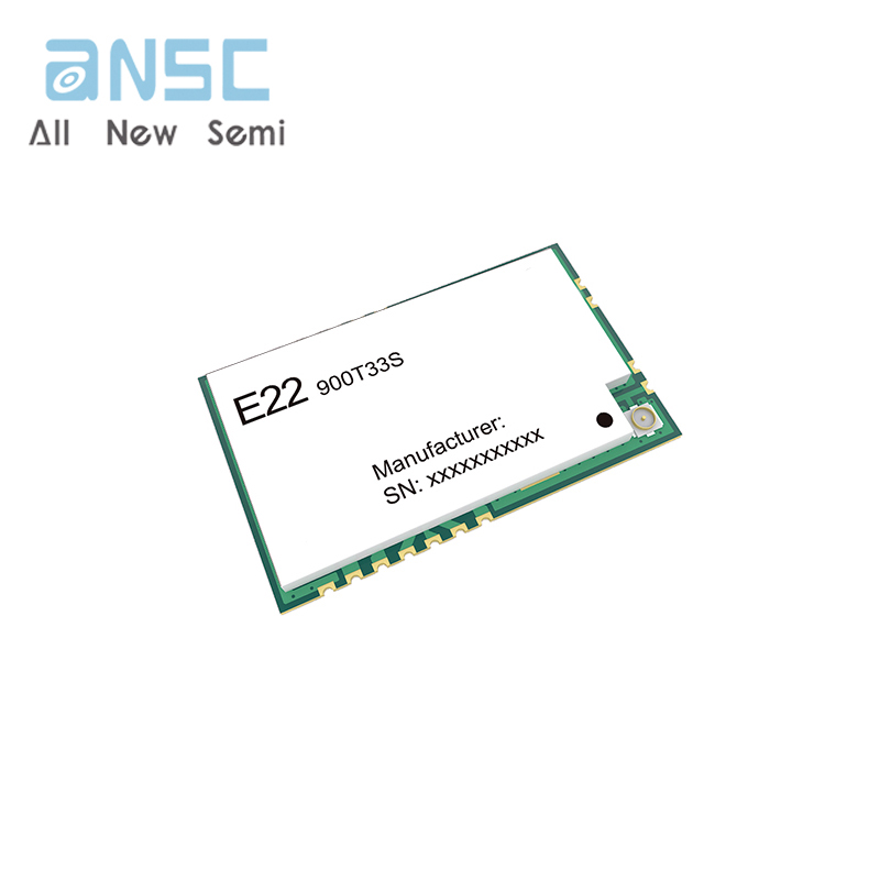 E22-900T33S